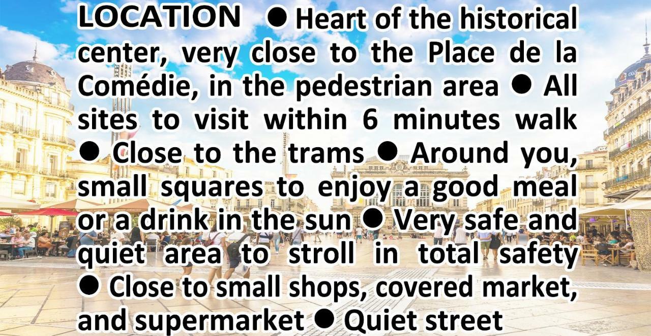 Comedie Musee-Fabre Parking Offert Climatisation Διαμέρισμα Μονπελιέ Εξωτερικό φωτογραφία